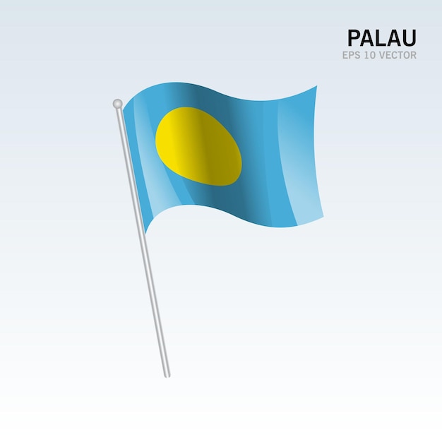 Palau Macha Flagą Na Szarym Tle