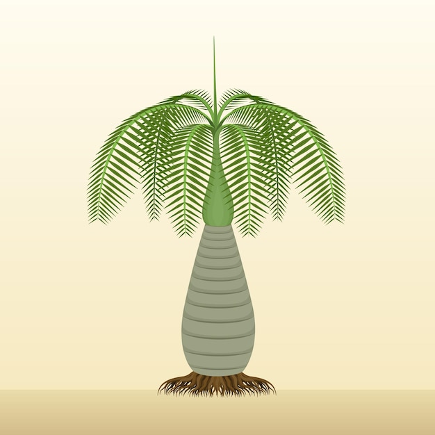 Palm Tree Cute Clipart Kreskówka Rysunek Ilustracja Wektor