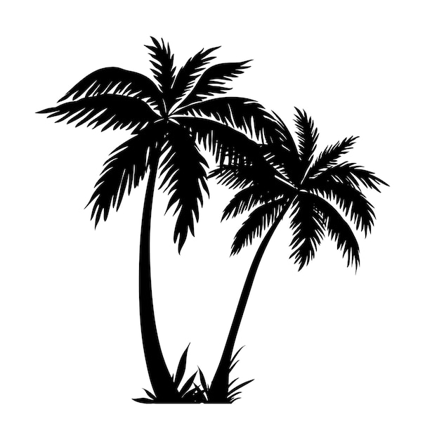 Plik wektorowy palma