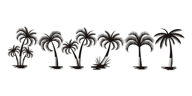 Palmy Lub Zestaw Ikon Logo Drzewa Kokosowego. Kolekcja Sylwetki Palmy I Drzewa Kokosowego.