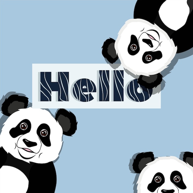 Panda trzy