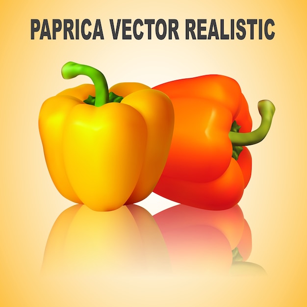 Plik wektorowy paprica realistic vector