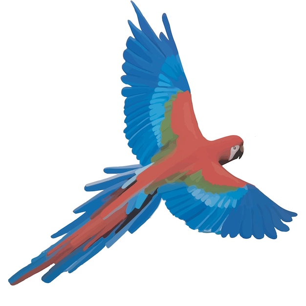 Plik wektorowy papuga ara