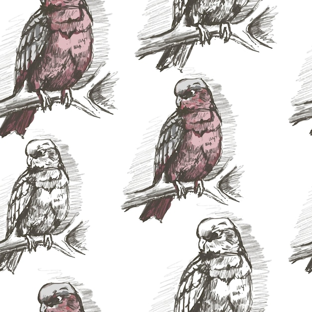 Papuga ptak dzika dżungla grafika ilustracja ręcznie rysowane na białym tle