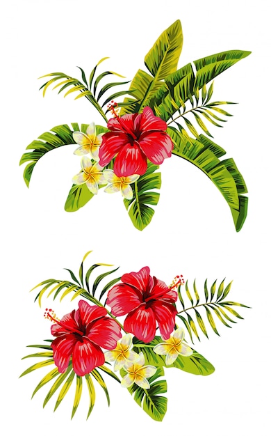 Plik wektorowy pęczki hibiskusa plumeria