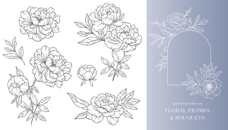 Wektor peony flower line art kwiatowe ramki i bukiety line art fine line peony frames ręcznie rysowane