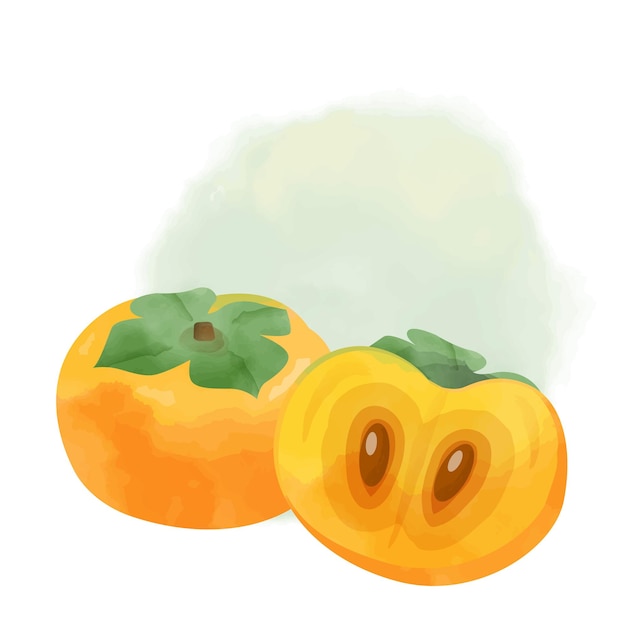 Persimmon W Stylu Ilustracji Akwareli