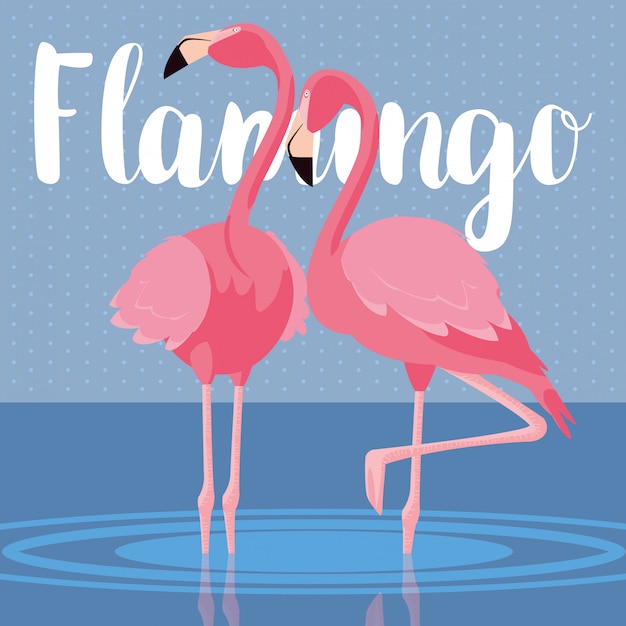 Piękna Flaminga Ptaków Para W Krajobrazie