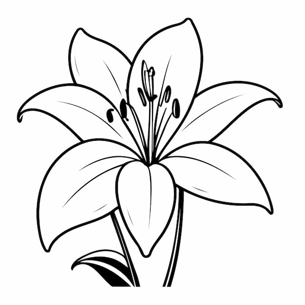 Plik wektorowy piękna ilustracja wektorowa rysunek lilii do malowania