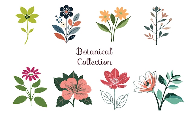 Piękna kolekcja botanicznej sztuki kwiatów wektorowych