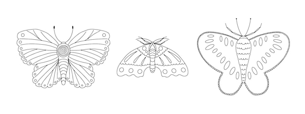 Piękna Kolekcja Motyli W Ręcznie Rysowane Stylu Doodle śliczne Wzory Na Przyjęcie Z życzeniami