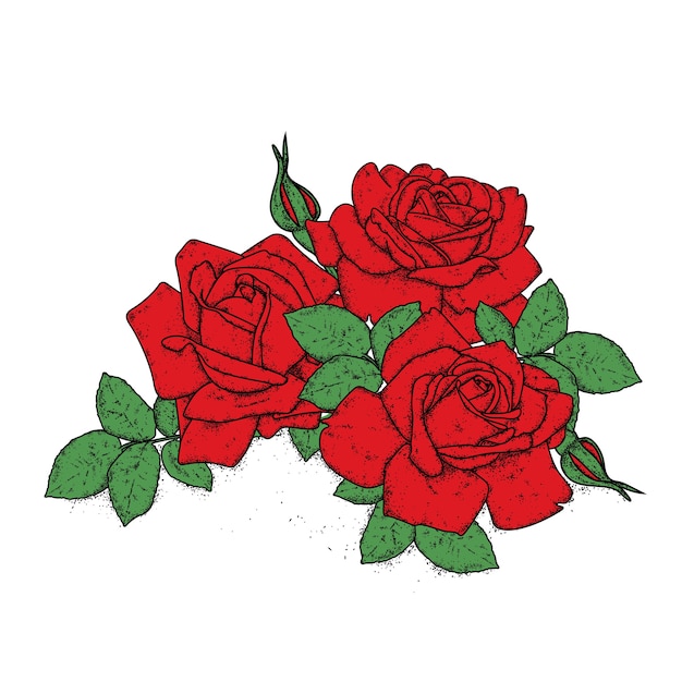 Piękne Czerwone Róże