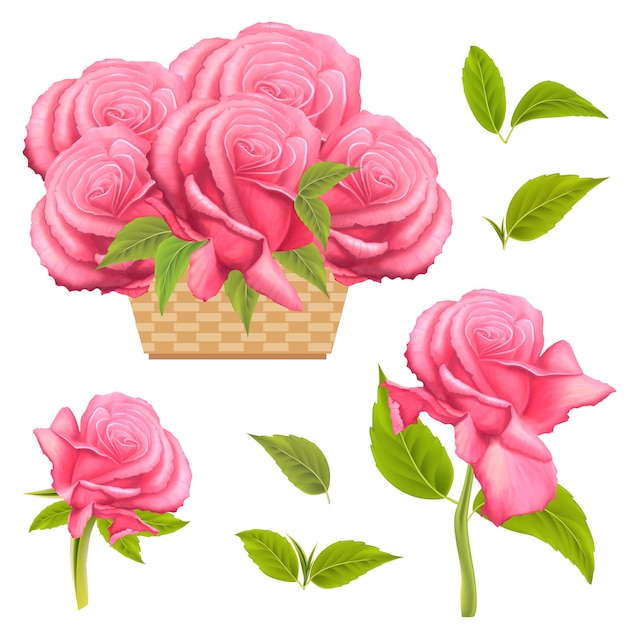 Piękne Różowe Róże W Koszu Wektor Letni Bukiet Kwiatów Na Urodziny ślub Dzień Matki