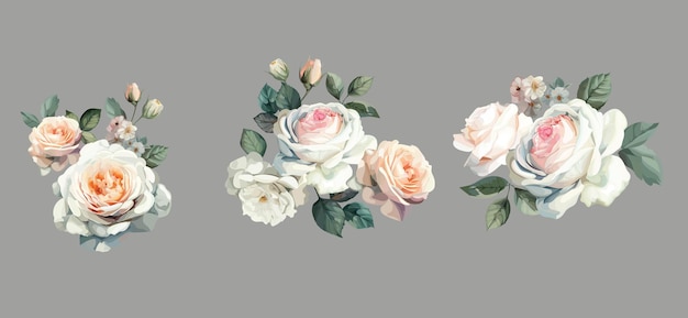 Plik wektorowy piękny bukiet białych róż odizolowany na szarym tle