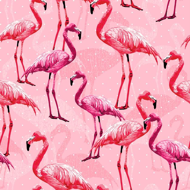 Piękny Flamingo Bird Różowy bezszwowy wzór ilustracja Wektor Art Tło Tapeta Zwierzę.