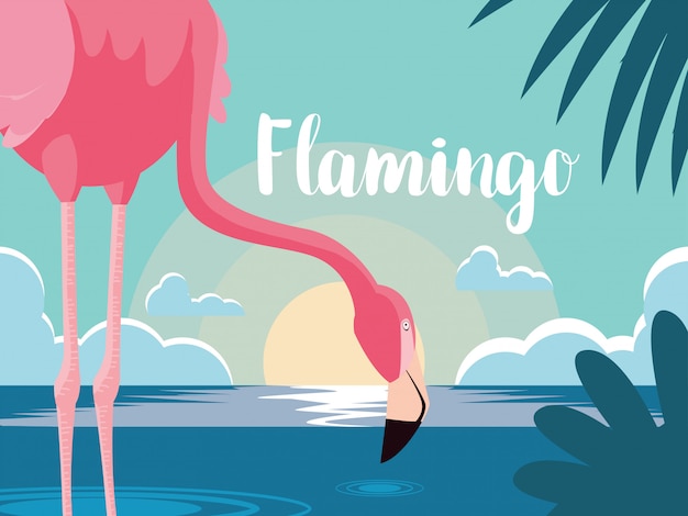 Plik wektorowy piękny flamingo ptaka stojak w krajobrazie