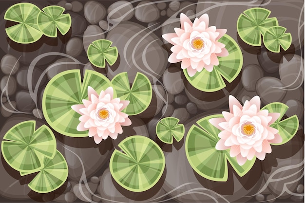 Plik wektorowy piękny lotos lilii z zielonymi liśćmi na przezroczystej wodzie i ilustracji wektorowych płaskie dno z kamienia.