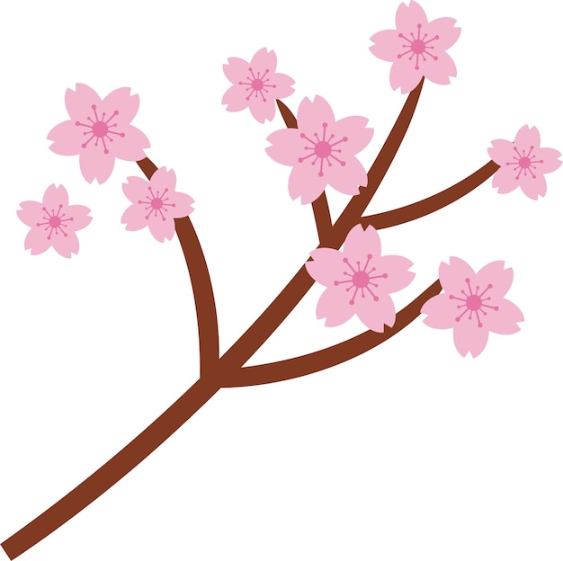 Piękny różowy kwiat wiśni Sakura ilustracja