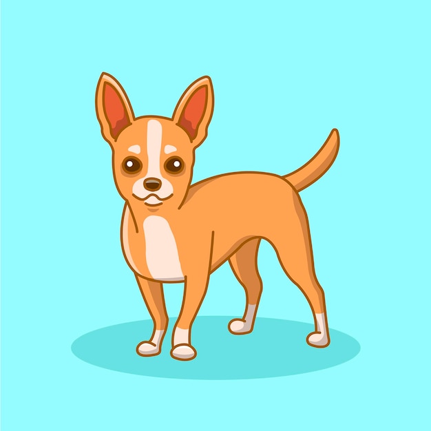 Pies Chihuahua