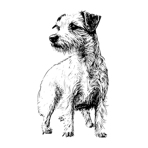 Pies Rasy Yorkshire Terrier Szczeniak Szkic Ręcznie Rysowane W Grawerowaniu. Ilustracja Wektorowa.