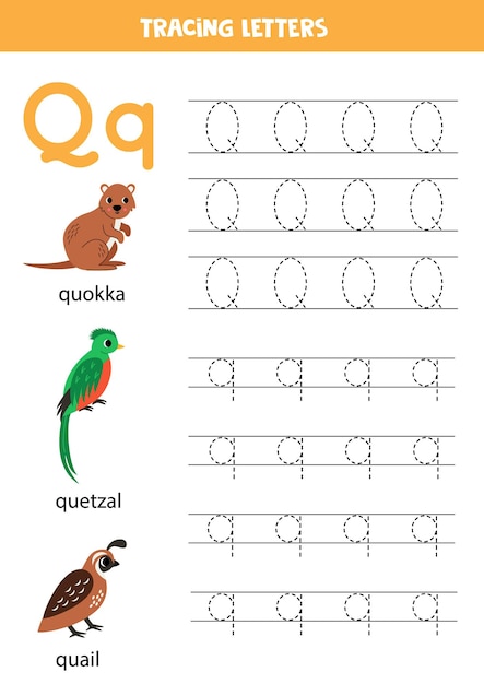 Pisanie Alfabetu Zwierząt Dla Dzieci W Wieku Przedszkolnym Litera Q Jest Dla Przepiórki Quokka Quetzal