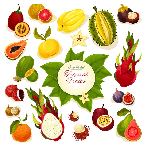 Plakat Wektor świeżych Owoców Tropikalnych