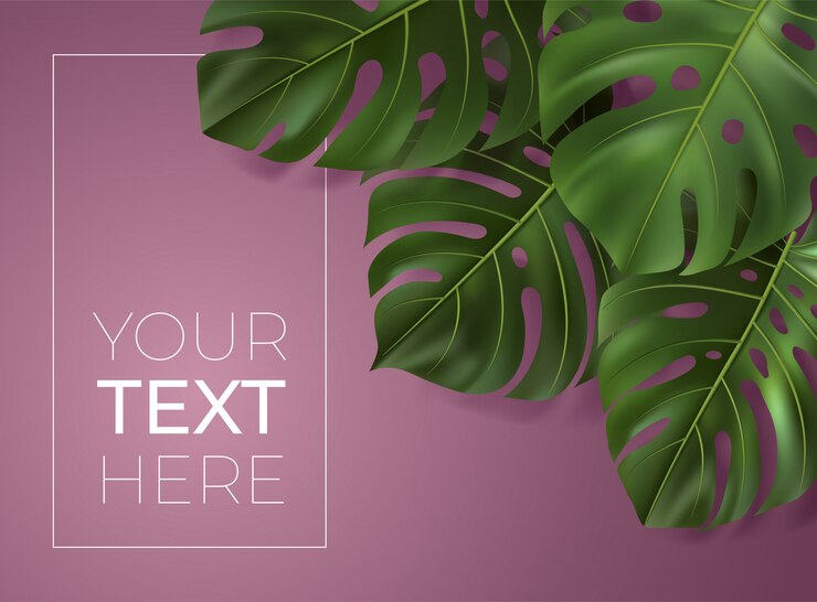 Wektor plakat z realistycznymi zielonymi liśćmi tropikalnymi. liść monstera na różowym tle. ilustracja botaniczna z miejscem na kopię tekstu. szablon banera, zaproszenia, reklamy, sieci.