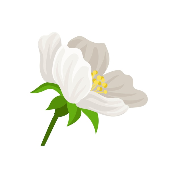 Plik wektorowy płaska ikona wektor ładny kwiat z białymi płatkami piękna kwitnąca roślina naturalny element dekoracyjny