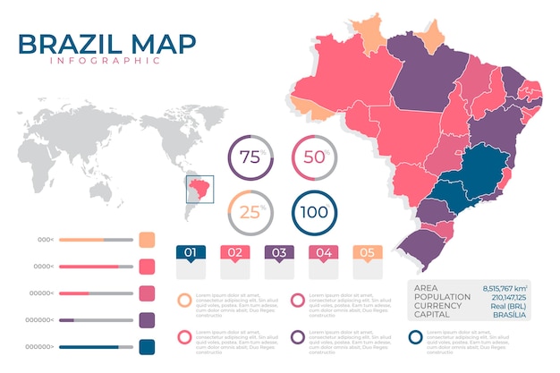 Płaska Konstrukcja Mapa Plansza Brazylii