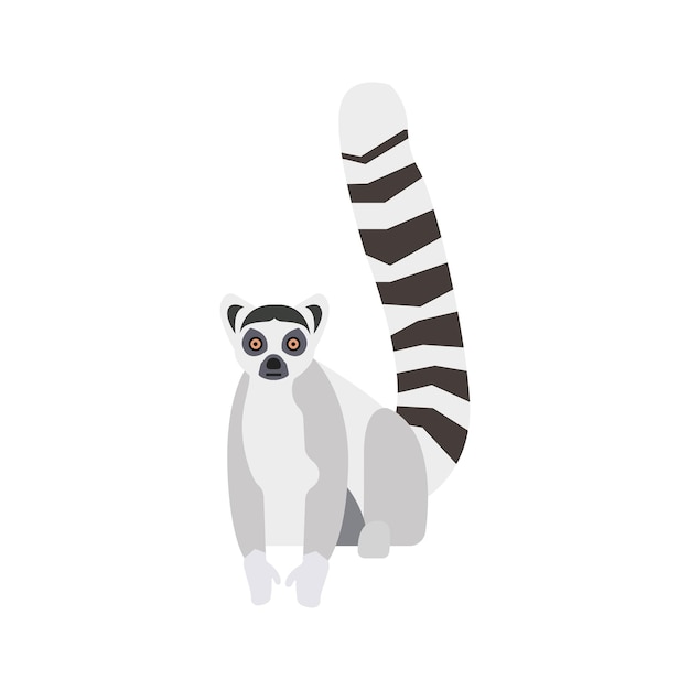 Płaski Lemur Na Białym Tle