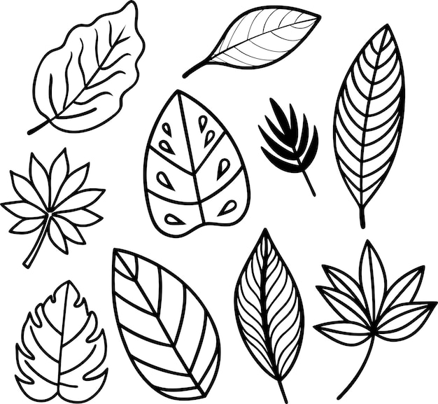 Płaskie liście ilustracji nowoczesna linia KOLEKCJA