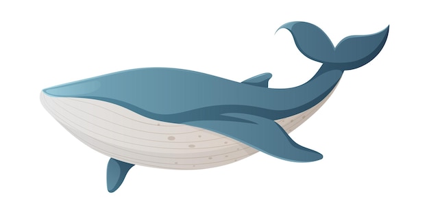 Płetwal Błękitny Wektor Ilustracja Kreskówka Styl Morski Zwierzę Ssak Mieszkaniec Oceanów