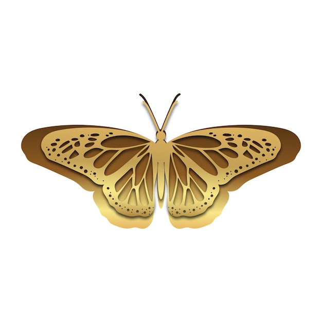 Plik 3D Butterfly Cut dla Cricut