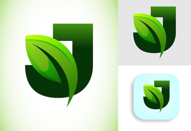Początkowy alfabet J z liściem Ecofriendly logo koncepcja Graficzny symbol alfabetu dla tożsamości biznesowej i firmy
