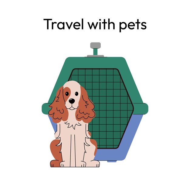 Podróż z zwierzętami domowymi ilustracja wektorowa amerykański cocker spaniel z zwierzęciem domowym samolotem podróże z zwierzęciami domowymi