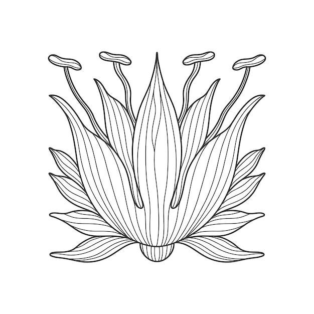 Podstawowy Element Kwiatu W Stylu Secesyjnym 19201930 Lat Vintage Design Symbol Motyw Motyw Izolowany Na Białym
