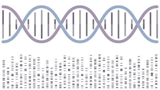 Plik wektorowy podwójna helisa dna z pasmami sekwencjonowania wektor ilustracja tła