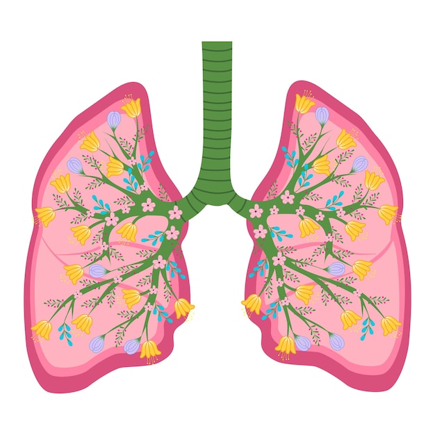Plik wektorowy pojęcie zdrowych płuc. ilustracja wektorowa