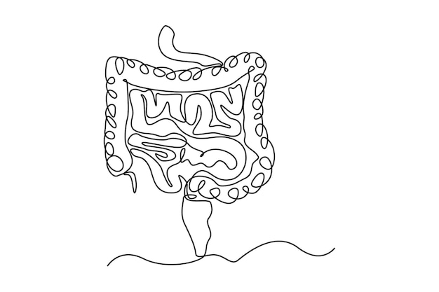 Pojedyncza linia rysowania anatomii jelit Koncepcja narządów ludzkich Ciągłe rysowanie linii projektowania graficznego ilustracji wektorowych