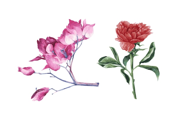 Pojedyncze gałęzie z kwiatami clipart