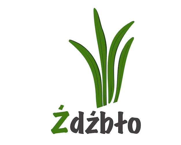 Plik wektorowy polski alfabet przedstawiający źdźbło trawy