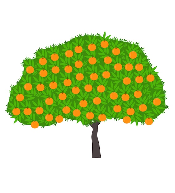 Plik wektorowy pomarańczowe drzewo na białym tle