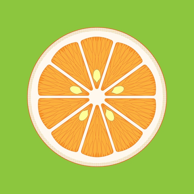 Plik wektorowy pomarańczowy owoc hesperidium ilustracji wektorowych