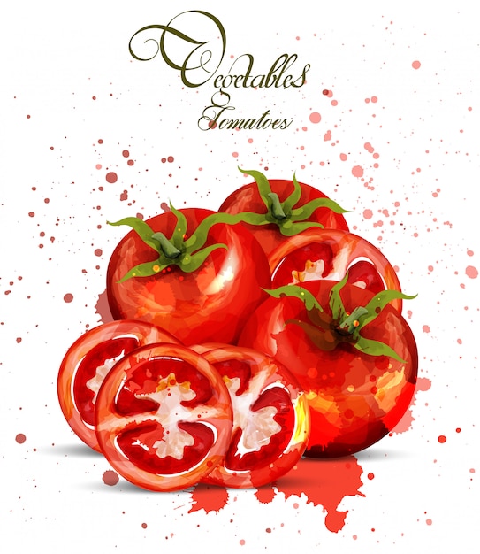 Pomidory akwarela