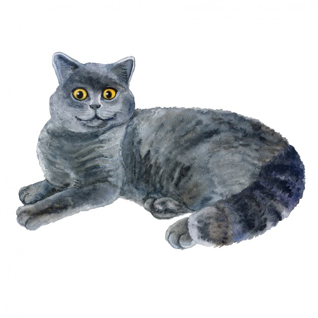 Plik wektorowy portret akwarela szary kot