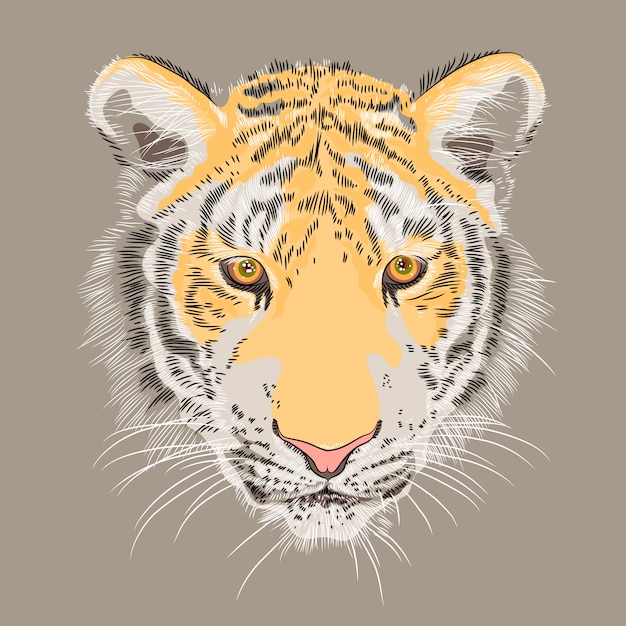 portret poważnego tygrysa ilustracji