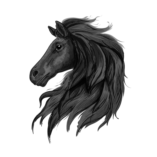 Plik wektorowy portret profilu czarnego szlachetnego konia