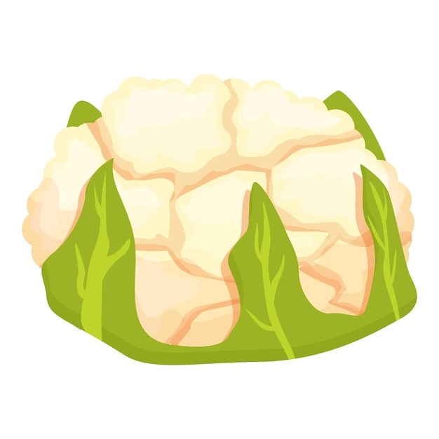 Plik wektorowy posiłek kalafior ikona kreskówka wektor pokarm kapuściany brokuły hodowlane
