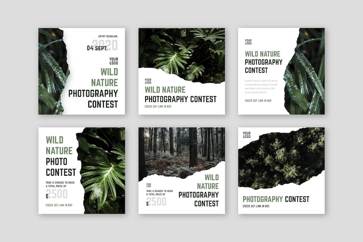 Wektor post instagramowy konkurs fotografii dzikiej przyrody