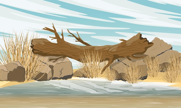 Plik wektorowy powalone drzewo leżące na dwóch kamieniach nad jeziorem o piaszczysto-gliniastych brzegach